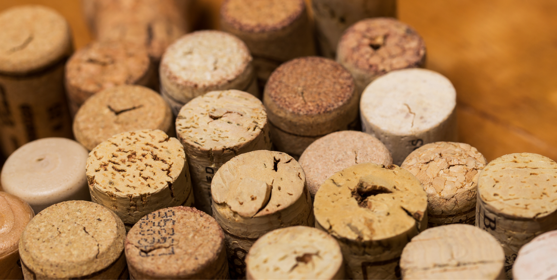 Why Cork? - 6